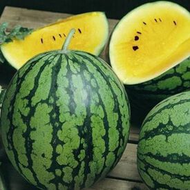 Yellow Petite, Watermelon Seeds